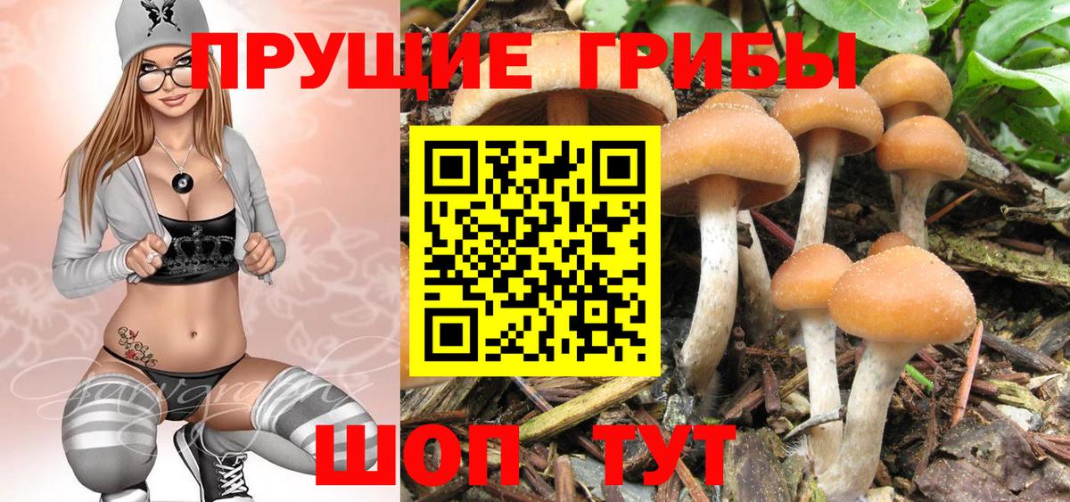 Галлюциногенные грибы GOLDEN TEACHER Чистополь