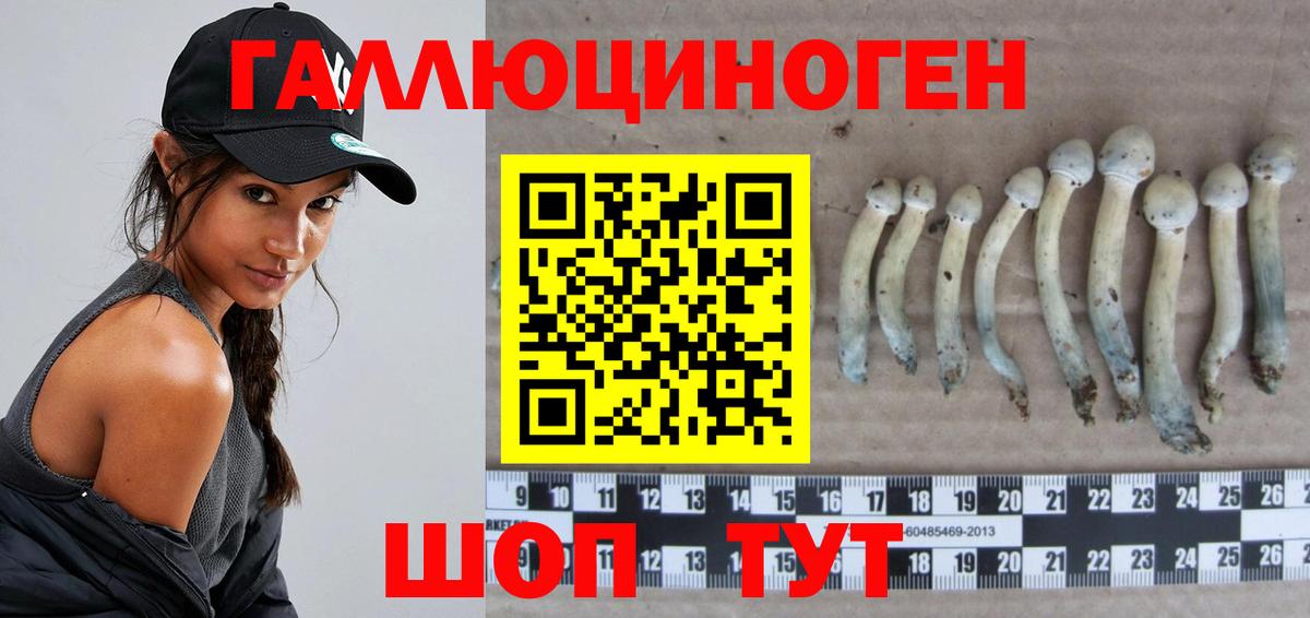 Чистополь  Псилоцибиновые грибы Magic Shrooms  Вход с VPN  Псилоцибиновые грибы Magic Shrooms 